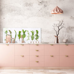 Contemporary glass kitchen panel - Wide format wall backsplash: Herb pots in the kitchen