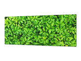 Tempered Glass magnetic and non magnetic splashback in wide-format: Green leaves wall