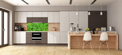 Tempered Glass magnetic and non magnetic splashback in wide-format: Green leaves wall