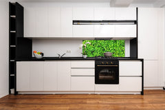 Tempered Glass magnetic and non magnetic splashback in wide-format: Green leaves wall