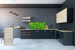 Tempered Glass magnetic and non magnetic splashback in wide-format: Green leaves wall