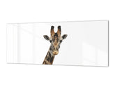 Glass backsplash w/ and w/o metal sheet backing with magnetic properties: Giraffe portrait