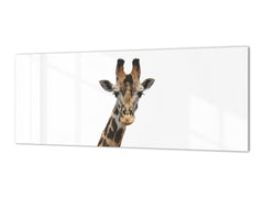 Glass backsplash w/ and w/o metal sheet backing with magnetic properties: Giraffe portrait