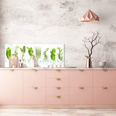 Glass backsplash w/ and w/o metal sheet backing with magnetic properties: Close Up of pot herbs
