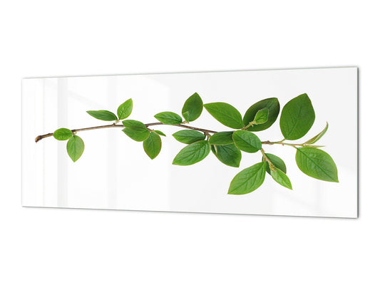 Wide format Wall panel with magnetic and non-magnetic metal sheet backing: Green tree branch