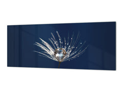 Toughened printed glass backsplash - Wide format steel coated wall glass backsplash: Dandelion seed with water drops closeup