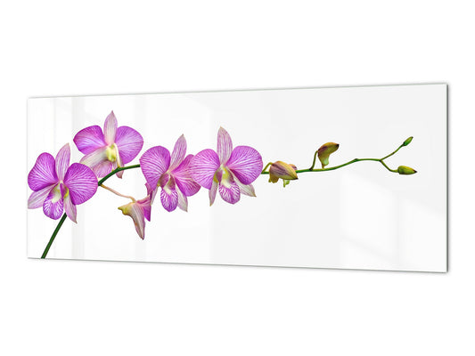 Tempered Glass magnetic and non magnetic splash-back in wide-format: Phalaenopsis dendrobium Orchid