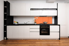 Glass kitchen panel with and w/o stainless steel back-coating: Bright Orange