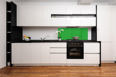 Contemporary glass kitchen panel - Wide format wall backsplash: Bright Green