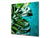 Toughened glass backsplash – Art glass design printed glass splashback NBS11 Tropical Leaves Series: Tropical leaves background