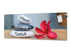 Wide-format glass kitchen panel with and w/o stainless steel metal back-coating: Holistic Zen