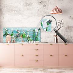 Glass kitchen panel with and w/o stainless steel back-coating: Hanging herbs