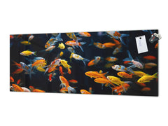 Glass backsplash w/ and w/o metal sheet backing with magnetic properties: Fish lil