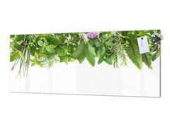 Stunning glass wall art - Wide format backsplash with magnetic properties: Garden herbs