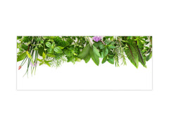Stunning glass wall art - Wide format backsplash with magnetic properties: Garden herbs