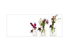 Toughened printed glass backsplash - Wideformat steel coated wall glass splashback: Spring blooms Santana Red