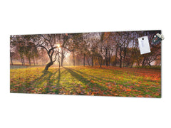 Stunning glass wall art - Wide format backsplash with magnetic properties: Sunny Landscape Of Trees