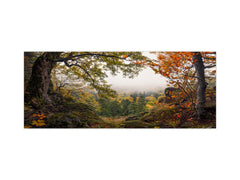 Stunning glass wall art - Wide format backsplash with magnetic properties: Mountain Misty Valley