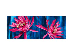 Panel de pared de gran formato con respaldo de chapa metálica magnética y no magnética: Hojas tropicales de acuarela