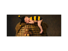 Wide format Wall panel with magnetic and non-magnetic metal sheet backing: Cute baby in bee outfit 2