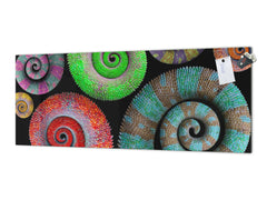 Glass kitchen panel with and w/o stainless steel back-coating: Chameleon tails 2