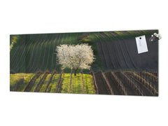 Glass backsplash w/ and w/o metal sheet backing with magnetic properties: Blooming Wild Cherry