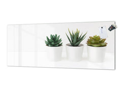 Glass backsplash w/ and w/o metal sheet backing with magnetic properties: Succulent plants pots