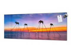 Glass kitchen panel with and w/o stainless steel back-coating: Dali´s elephants in the ocean