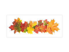 Glass kitchen panel with and w/o stainless steel back-coating: Autumn leaves on white