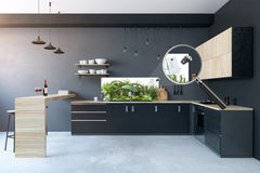 Glass kitchen panel with and w/o stainless steel back-coating: Basil, sage and rosemary