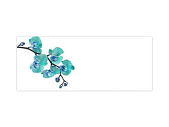 Large format horizontal backsplash - magnetic and non magnetic tempered glass: Beautiful Orchid - phalaenopsis