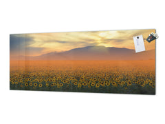 Glass splashback with metal backing in wide format - Kitchen tempered glass panel: Sunflower field at sunset