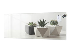 Glass splashback with metal backing in wide format - Kitchen tempered glass panel: Succulent plants in flowerpots