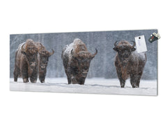 Glass splashback with metal backing in wide format - Kitchen tempered glass panel: Winter Image With Four Bisons