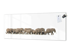 Glass splashback with metal backing in wide format - Kitchen tempered glass panel: Herd of African elephants
