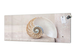 Wide-format tempered glass kitchen wall panel with metal backing - and without: Nautilus seashell