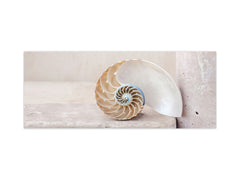 Wide-format tempered glass kitchen wall panel with metal backing - and without: Nautilus seashell