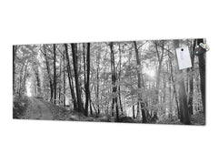 Wide-format tempered glass kitchen wall panel with metal backing - and without: Forest road