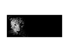 Wide-format tempered glass kitchen wall panel with metal backing - and without: Wild Cat face