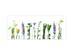 Wide-format tempered glass kitchen wall panel with metal backing - and without: Plants in tubes