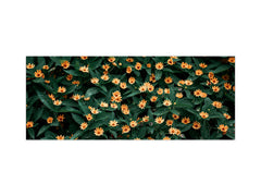 Toughened printed glass backsplash - Wideformat steel coated wall glass splashback: Flower with folk color