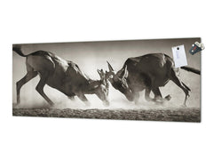 Toughened printed glass backsplash - Wideformat steel coated wall glass splashback: Duel in dust - South Africa