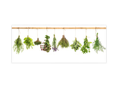 Tempered Glass magnetic and non magnetic splashback in wide-format: Fresh herbs hanging