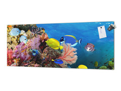 Contemporary glass kitchen panel - Wide format wall backsplash: Water lanscape