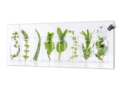 Contemporary glass kitchen panel - Wide format wall backsplash: Herb pots in the kitchen