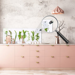 Contemporary glass kitchen panel - Wide format wall backsplash: Herb pots in the kitchen