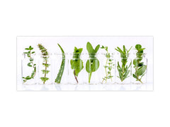 Contemporary glass kitchen panel - Wide format wall backsplash: Herb pots in the kitchen