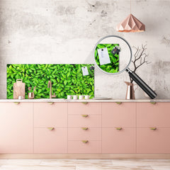 Tempered Glass magnetic and non magnetic splashback in wide-format: Green leaves wall