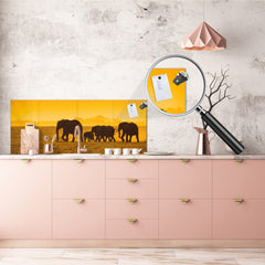 Tempered Glass magnetic and non magnetic splashback in wide-format: Elephants in Amboseli national park, Kenya