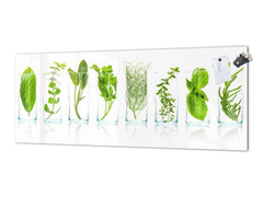 Glass backsplash w/ and w/o metal sheet backing with magnetic properties: Close Up of pot herbs